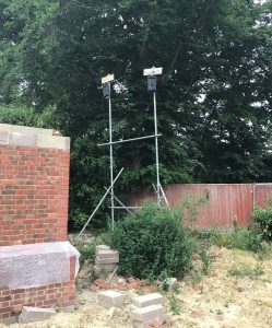 Bat Friendly Lighting Design